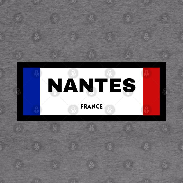 Nantes City in French Flag by aybe7elf